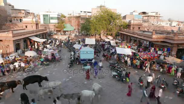 Jodhpur, Indien - februari 2017: människor, fordon, djur och varor på den trånga marknaden på torget klocktornet i Jodhpur, India. Tid förflutit från ovan. — Stockvideo