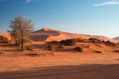 Kum tepeleri şafakta, roadtrip harika Namib Naukluft Milli Parkı'nda, Namib Çölü'nde hedef Namibya, Afrika, seyahat. Sabah güneşi, sis ve sis.