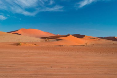 Kum tepeleri şafakta, roadtrip harika Namib Naukluft Milli Parkı'nda, Namib Çölü'nde hedef Namibya, Afrika, seyahat. Sabah güneşi, sis ve sis.