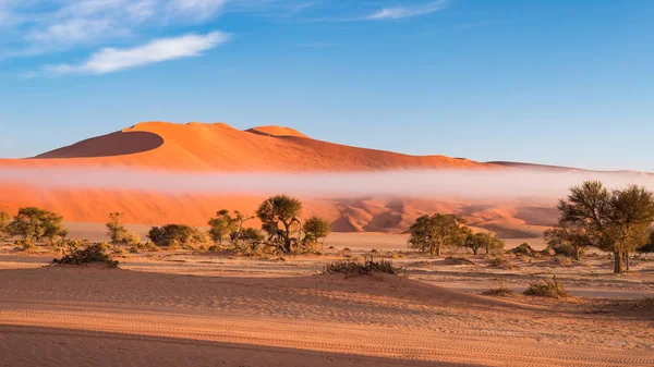 Dunas de areia no deserto da Namíbia ao amanhecer, viagem no maravilhoso Parque Nacional Namib Naukluft, destino de viagem na Namíbia, África. Luz da manhã, névoa e nevoeiro . — Fotografia de Stock