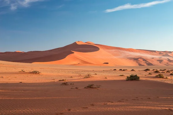 Αμμοθίνες στην έρημο Namib, έρημο την αυγή, roadtrip σε το εξαιρετικό εθνικού πάρκου Namib Naukluft, ΤΑΞΙΔΙΑ στην Ναμίμπια, στην Αφρική. Φως το πρωί, η ομίχλη και η ομίχλη. — Φωτογραφία Αρχείου