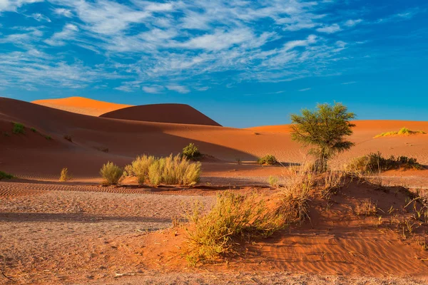 Dunas de arena en el desierto de Namib al amanecer, viaje por carretera en el maravilloso Parque Nacional Namib Naukluft, destino de viaje en Namibia, África. Luz de la mañana, niebla y niebla . — Foto de Stock