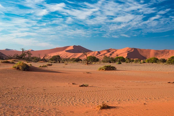 Zandduinen in de Namibwoestijn bij dageraad, roadtrip in de prachtige Namib Naukluft National Park, reis bestemming in Namibië, Afrika. Ochtend licht, nevel en mist. — Stockfoto