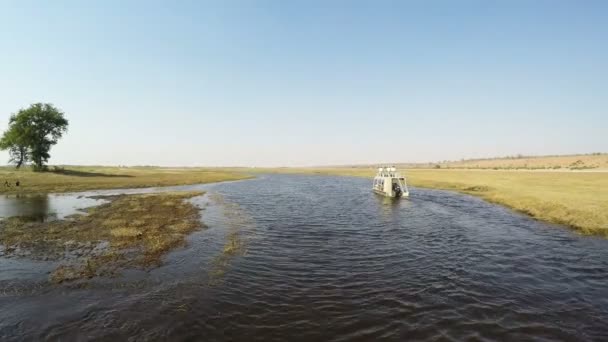 Boat cruise and wildlife safari on Chobe River, Namibia Botswana border, Africa. Chobe National Park, famous wildlilfe reserve and upscale travel destination. — Stock Video