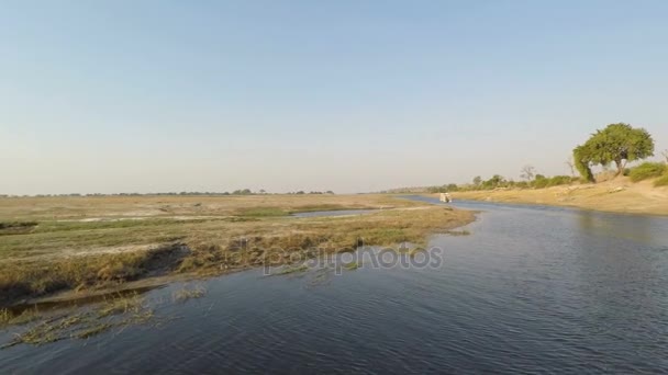 Bootsfahrt und Safari auf dem Chobe River, Namibia Botswana Grenze, Afrika. Chobe National Park, berühmtes Wildlife Reserve und gehobenes Reiseziel. — Stockvideo