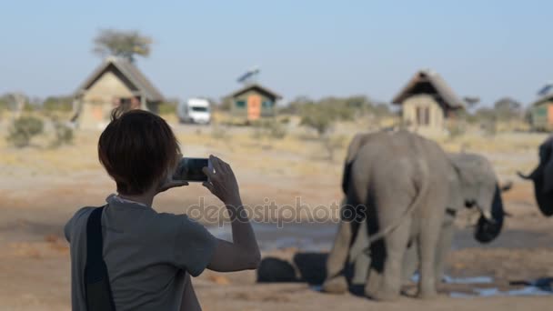 Nata, Botswana - agosto de 2016: Elefantes fotógrafos turísticos com smartphone, muito perto do rebanho. Safári de aventura e vida selvagem na África. Pessoas viajando conceito . — Vídeo de Stock