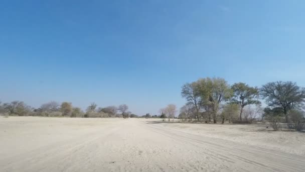 Jízda mimo silnici na písku v Caprivi Strip, nejlidnatější oblast v Namibii, v Africe. Pohled z připojené kamery. — Stock video