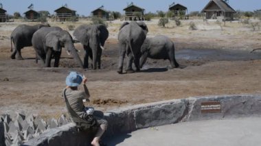 Nata, Botsvana - Ağustos, 2016: turist vahşi filler Nata, Botswana wildilife beldesinde bir bakıyorum. Afrika safari macera ve yabani hayvanlar ve bitkiler. İnsanlar seyahat kavramı.