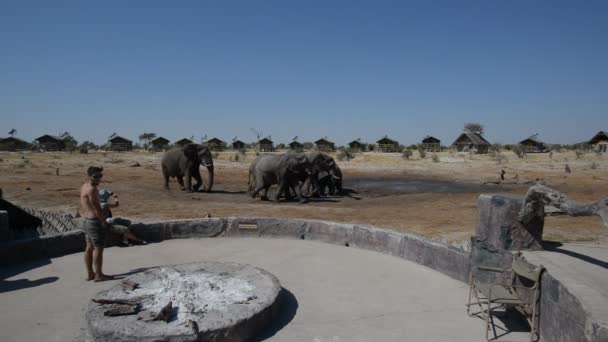 Nata, Botswana - augustus, 2016: Toeristen kijken naar wilde olifanten van wildilife resort in Nata, Botswana. Avontuur en wildlife safari in Afrika. Mensen reizen concept. — Stockvideo