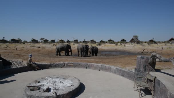 Nata, Botswana - augusti 2016: Turister tittar på vilda elefanter från wildilife resort i Nata, Botswana. Äventyr och wildlife safari i Afrika. Människor reser koncept. — Stockvideo