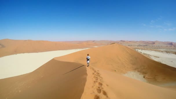 Turista caminando por las dunas pintorescas de Sossusvlei, desierto de Namib, Parque Nacional de Namib Naukluft, Namibia. Luz de la tarde. Aventura y exploración en África . — Vídeos de Stock