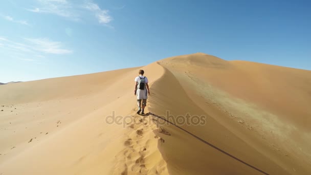 Toeristische lopen op de schilderachtige duinen van Sossusvlei, Namib woestijn, Namib Naukluft Nationaal Park, Namibië. Middag licht. Avontuur en exploratie in Afrika. Slow motion. — Stockvideo