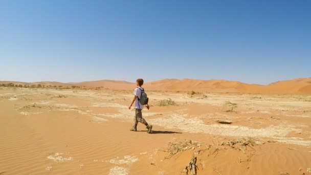 Turist Sossusvlei, Namib Çölü, Namib Naukluft Milli Parkı, Namibya doğal tepeleri üzerinde yürüme. Öğleden sonra ışık. Macera ve keşif Afrika. — Stok video