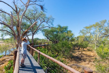 Tourist looking at panorama with binocular from viewpoint over the Olifants river, scenic and colorful landscape with wildlife in the Kruger National Park, famous travel destination in South Africa. clipart