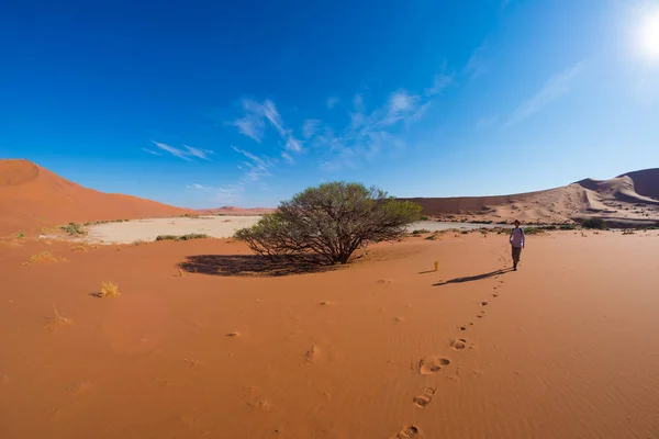 Turisten som gå på vackra sanddynerna i Sossusvlei, Namiböknen, Namib Naukluft National Park, Namibia. Äventyr och utforskning i Afrika. — Stockfoto