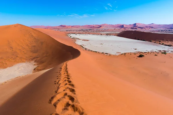 The scenic Sossusvlei and Deadvlei, clay and salt pan surrounded by majestic sand dunes. Namib Naukluft National Park, main visitor attraction and travel destination in Namibia. — Stock Photo, Image