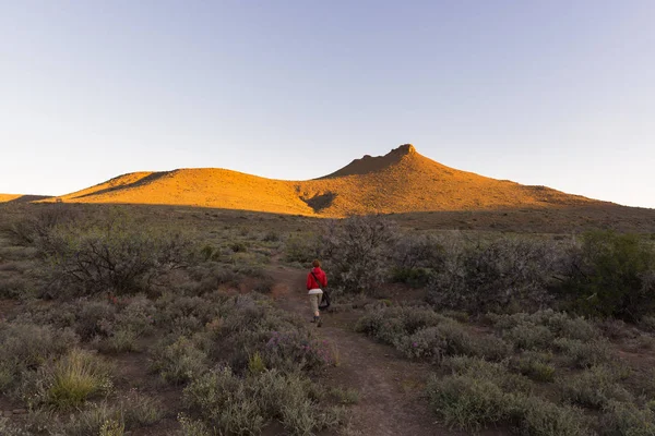 Karoo National Park, Güney Afrika için işaretli izinde yürüyen turist. Doğal tablo dağlar, kanyonları ve kayalıklarla gün batımında. Macera ve keşif Afrika.