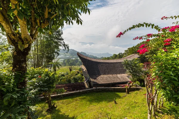 Liten traditionell by med typiska båt formad tak i idylliskt läge bland vackra terrasserade risfält och djungel i den kuperade regionen av Batutumonga, Tana Toraja, södra Sulawesi, Indonesi — Stockfoto
