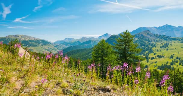 Crinali montani e cime con nuvole in movimento sulle Alpi in estate, provincia di Torino, Italia. Scadenza temporale . — Video Stock