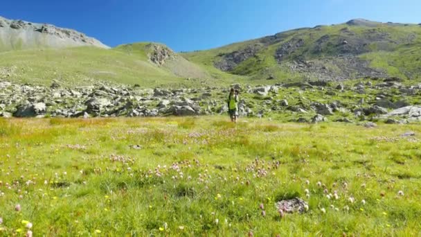 Γυναίκα πεζοπορία σε ειδυλλιακό ορεινό τοπίο, στο μονοπάτι που διασχίζουν ανθίζοντας πράσινο λιβάδι μέσα σε μεγάλο υψόμετρο βραχώδους βουνοσειράς και κορυφές. Καλοκαιρινές περιπέτειες στις ιταλικές Άλπεις. — Αρχείο Βίντεο