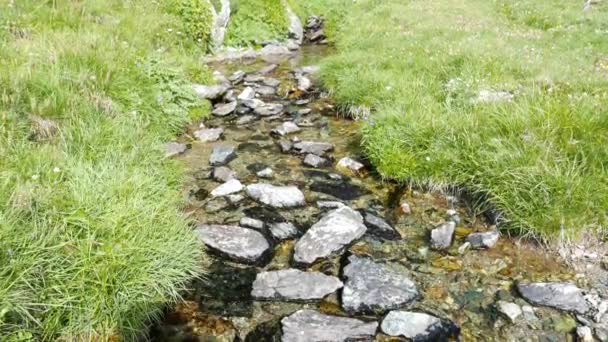 Proud tekoucí v idylické neznečištěné prostředí křížení zelené louky na Italské Alpy v létě. — Stock video