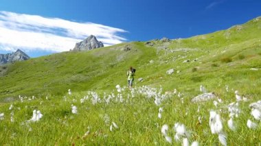 Kadın çiçek yeşil çayır yüksek irtifa kayalık dağ ve tepeler arasında geçiş patika üzerinde pastoral dağ manzarası içinde trekking. İtalyan Alpleri yaz maceralara. ağır çekim.