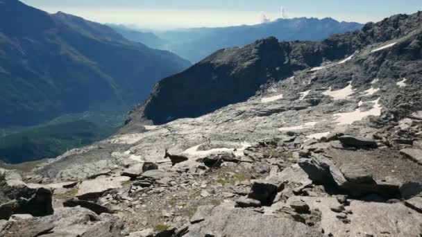 Női kőszáli kecske, séta a sziklák és kövek, nagy magasságban az olasz francia Alpok. — Stock videók