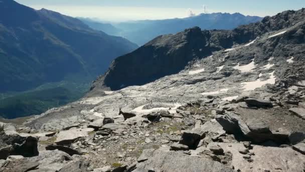 Bouquetin femelle marchant sur des rochers et des rochers à haute altitude dans les Alpes italiennes françaises . — Video