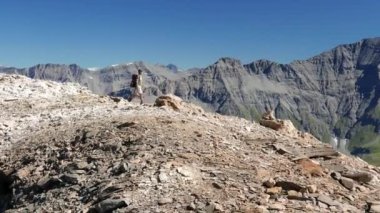     Yüksek irtifa kayalık dağ manzarası içinde yürüyen kadın. İtalyan Fransız Alpleri yaz maceralara. Ağır çekim. 