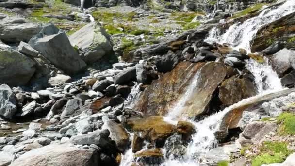 Cascades coulant dans un environnement idyllique non contaminé traversant des prairies vertes et des rochers sur les Alpes en été . — Video