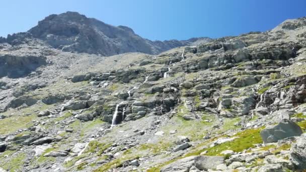 Vandfald strømmer i idylliske uforurenede omgivelser krydser grønne enge og kampesten på Alperne om sommeren . – Stock-video