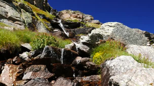 Vattenfall som flödar i idylliska oförorenad miljö korsning gröna ängar och stenblock på Alperna i sommar. — Stockvideo