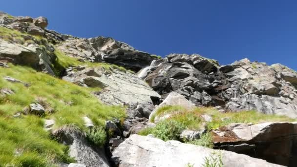 여름에 흐르는 목가적인 오염된 환경 건너 녹색 초원과 알프스에 바위에는 폭포 슬로우 모션, 확대. — 비디오