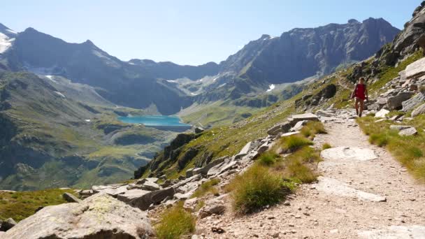 Mulher caminhando no caminho da montanha idílica paisagem com lago azul, alta montanha pico e geleira. Aventuras de verão nos Alpes . — Vídeo de Stock