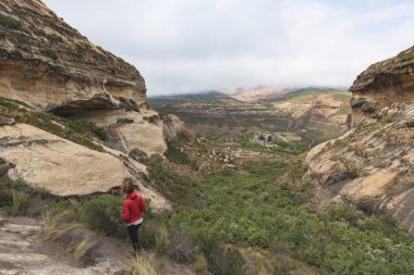 Golden Gate Highlands National Park, Güney Afrika için işaretli izinde trekking turist. Doğal tablo dağlar, kanyonları ve kayalıklarla. Macera ve keşif Afrika.