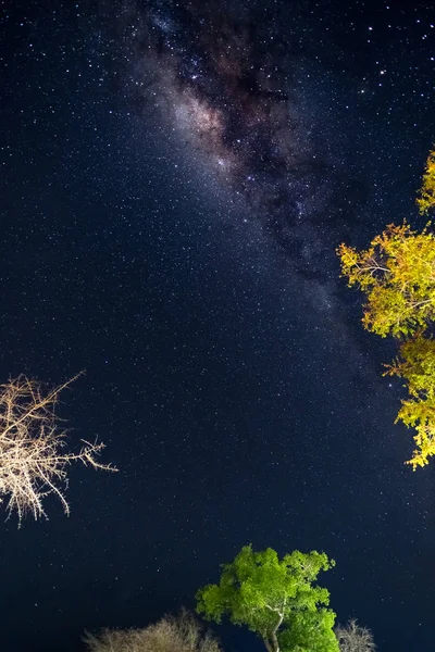 Κατασκήνωση κάτω από έναστρο ουρανό και Milky Way τόξου, με λεπτομέρειες από πολύχρωμα πυρήνα της, εξαιρετικά φωτεινό, συλλαμβάνεται στη Νότια Αφρική. Περιπέτεια στην άγρια φύση. — Φωτογραφία Αρχείου
