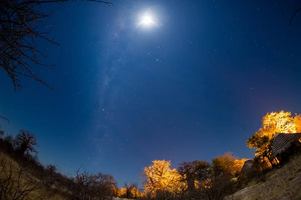 Cielo estrellado, arco de la Vía Láctea y luna, capturado en el desierto de Kalahari en Botswana, África. Luz de luna que ilumina el paisaje y los árboles baobab . — Foto de Stock