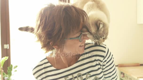 Domácí kočka si hraje na rameni usmívající se krásná žena. Vnitřní nastavení. Tónovaný obraz, vintage styl, retro filtr, podsvícení. Zpomalený pohyb — Stock video