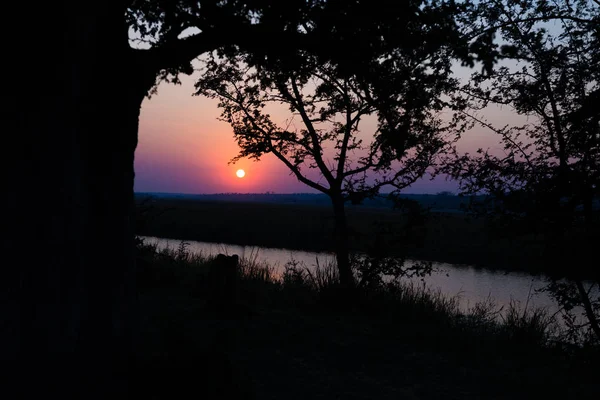 Renkli günbatımı Afrika Bush. Akasya ağaçları siluet arka ışık içinde. Soğuk tonda, mavi mor berrak gökyüzü. — Stok fotoğraf