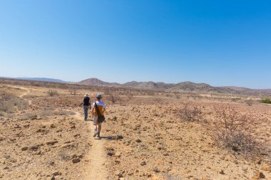Khorixas, Namibya - 26 Ağustos 2016: Turist ve ünlü taşlaşmış orman Milli Parkı'nda Khorixas, Namibia, Afrika, yürüyüş Rehberi. 280 milyon yaşında ormanlık, iklim değişikliği kavramı