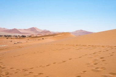 Doğal Sossusvlei ve Deadvlei, kil ve tuz pan görkemli kum tepeleri tarafından çevrili. Namib Naukluft Milli Parkı, ana ziyaretçi cazibe ve Namibya seyahat hedef.