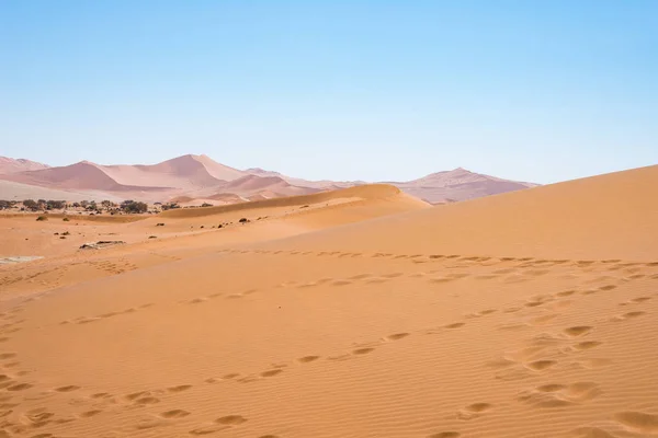 Мальовничі Sossusvlei і Deadvlei, глина і сіль сковороду в оточенні величних піщані дюни. Національний парк Namib-Naukluft, основні відвідувач тяжіння і подорожі в Намібії. — стокове фото