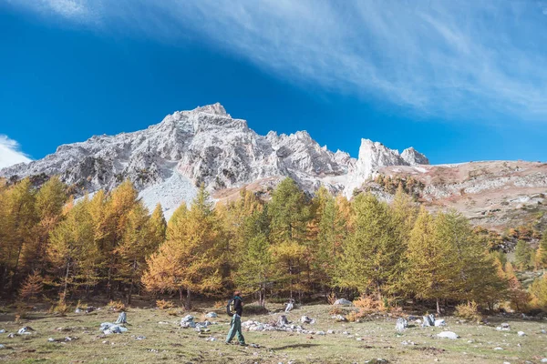 Hiker walking on a colorful valley with great panoramic view and autumnal vivid colors. Wide angle shot in the Italian French Alps. Toned decontrasted image. — Stock Photo, Image