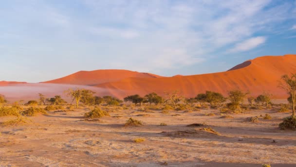 Panorama op de kleurrijke zandduinen en schilderachtige landschap in de Namibwoestijn, Namib Naukluft Nationaal Park, toeristische bestemming in Namibië. Reis avonturen in Afrika. — Stockvideo