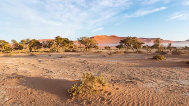 Panorama sobre dunas de areia coloridas e paisagem cênica no deserto do Namib, Namib Naukluft National Park, destino turístico na Namíbia. Aventuras de viagem em África . — Vídeo de Stock