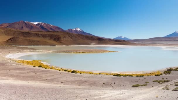 Laguna Canapa Panorama, os Andes entre Bolívia e Chile. O lago de sal congelado excepcional a caminho do famoso Uyuni Salt Flat, destino de viagem na Bolívia . — Vídeo de Stock