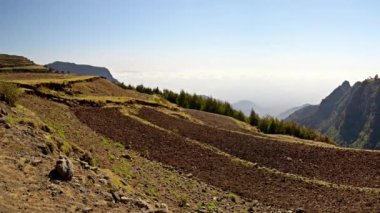 Panorama teraslı manzara, Etiyopya, Afrika Tarım üzerinde