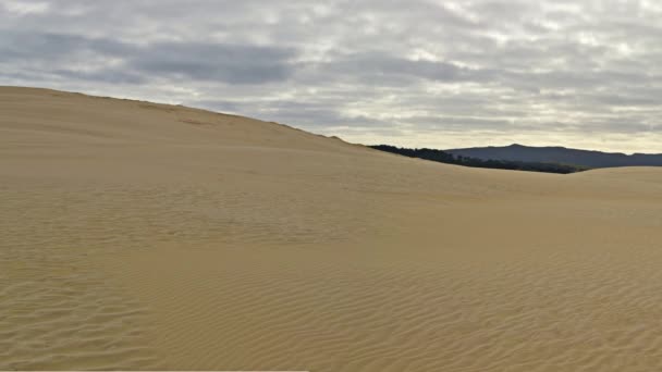 Panorama sur les dunes de sable à Te Paki, Grand Nord, Nouvelle-Zélande 