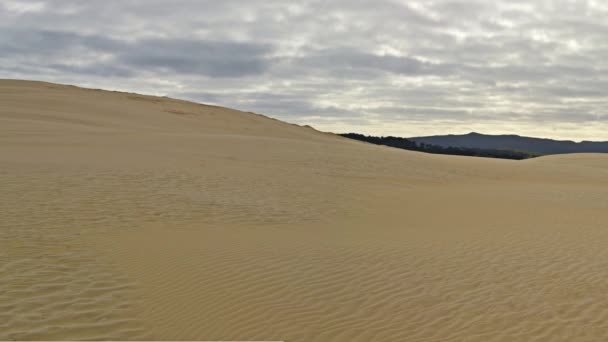 Panorama sulle dune di sabbia a Te Paki, estremo nord, Nuova Zelanda — Video Stock