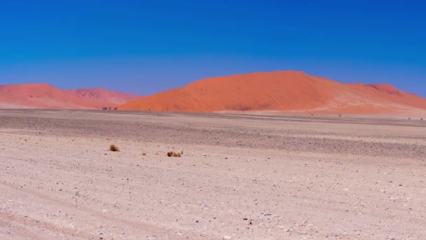 Panorama na barevné písečné duny a malebnou krajinu v turistické destinaci pouště Namib, národní Park Namib Naukluft v Namibii. Cestovní zážitky v Africe. — Stock video